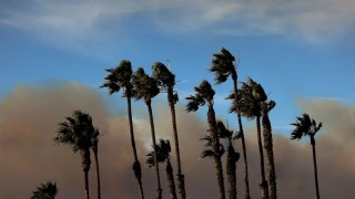 Meteorologists Warn Wildfire Danger Isn’t Over Yet as Strong Winds Return to LA Next Week